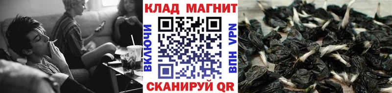 Где можно купить наркотики Богородицк Альфа ПВП  ГАШИШ  COCAIN 